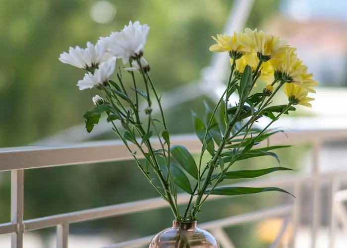 Apartmán Downtown Cuties *